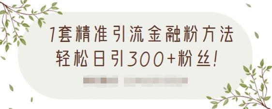 1套精准引流金融粉方法,轻松日引300 粉丝【视频课程】