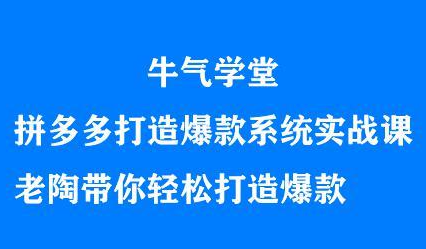 图片[1]-牛气学堂拼多多打造爆款系统实战课，老陶带你轻松打造爆款-杨振轩笔记
