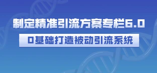 制定精准引流方案专栏6.0,0基础打造被动引流系统