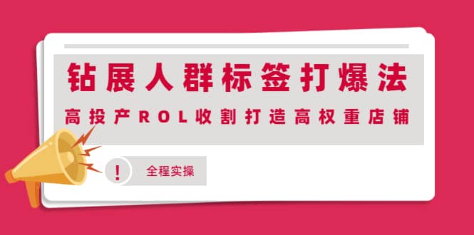 图片[1]-钻展人群标签打爆法，高投产ROL收割打造高权重店铺(全程实操)-杨振轩笔记