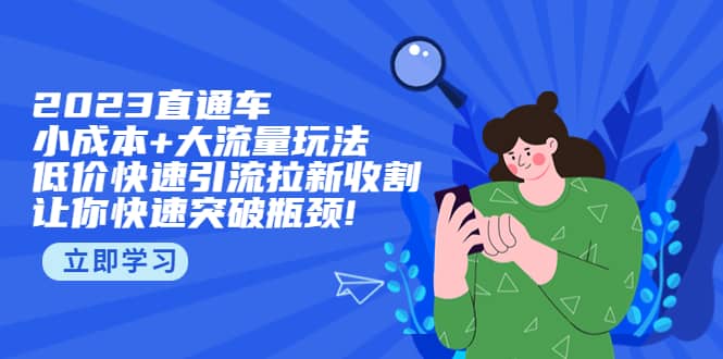 2023直通小成本 大流量玩法，低价快速引流拉新收割，让你快速突破瓶颈-杨振轩笔记