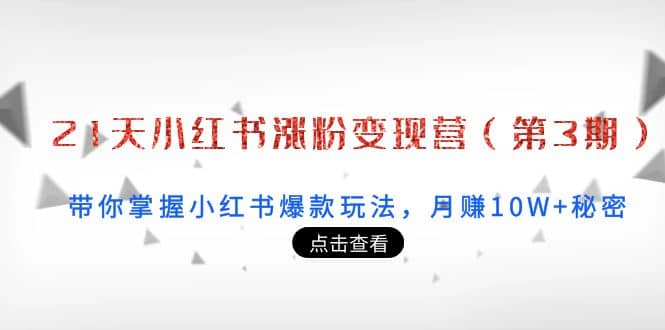 21天小红书涨粉变现营（第3期）：带你掌握小红书爆款玩法，月赚10W 秘密-杨振轩笔记