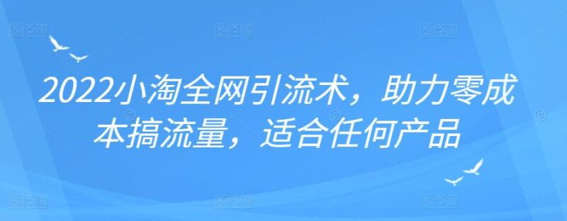 2022年小淘全网引流术，助力零成本搞流量，适合任何产品-杨振轩笔记
