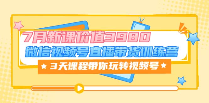 微信视频号直播带货训练营，3天课程带你玩转视频号：7月新课价值3980-杨振轩笔记