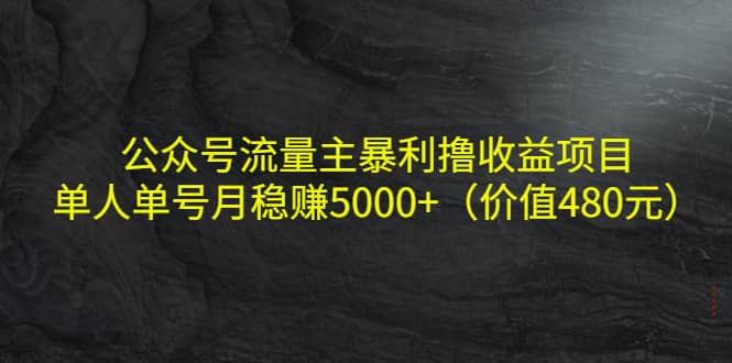 公众号流量主暴利撸收益项目，单人单号月稳赚5000 （价值480元）-杨振轩笔记