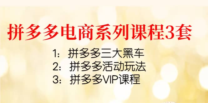 拼多多电商系列课程3套：拼多多三大黑车 拼多多活动玩法 拼多多VIP课程-杨振轩笔记