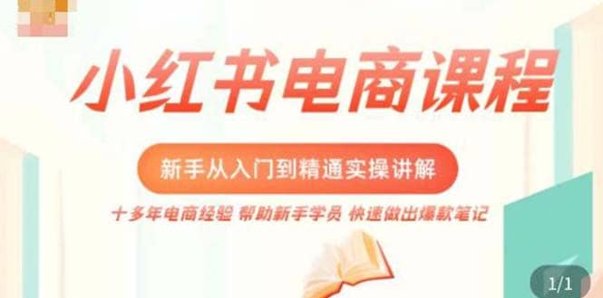 小红书电商新手入门到精通实操课，从入门到精通做爆款笔记，开店运营-杨振轩笔记