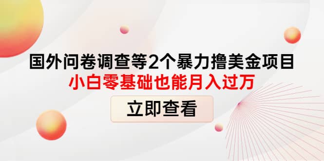 国外问卷调查等2个暴力撸美元项目，小白零基础也能月入过万-杨振轩笔记