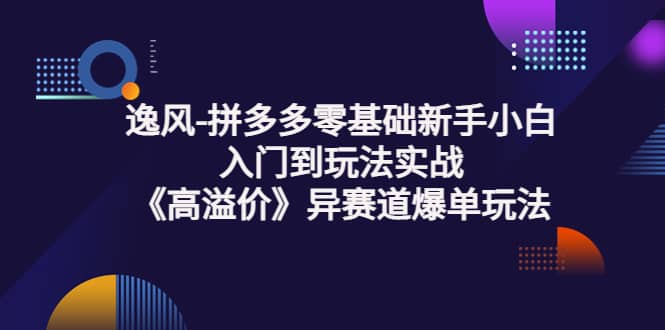 拼多多零基础新手小白入门到玩法实战《高溢价》异赛道爆单玩法实操课-杨振轩笔记