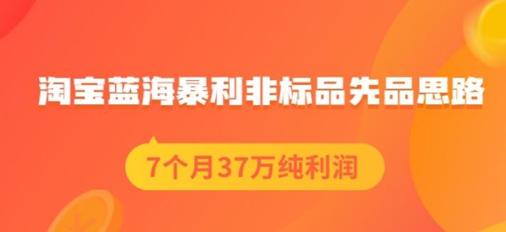 盗坤淘宝蓝海暴利非标品先品思路，7个月37万纯利润，压箱干货分享！【付费文章】-杨振轩笔记