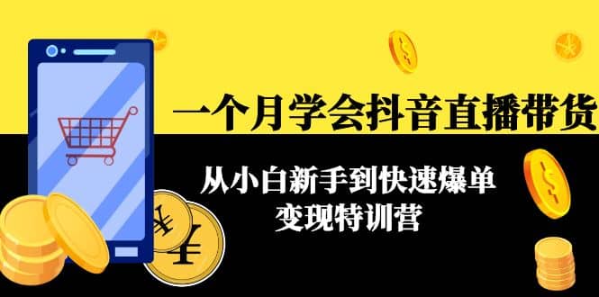 一个月学会抖音直播带货：从小白新手到快速爆单变现特训营(63节课)-杨振轩笔记