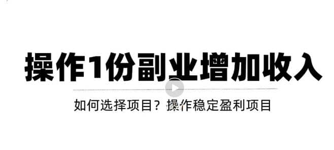 新手如何通过操作副业增加收入，从项目选择到玩法分享！【视频教程】-杨振轩笔记