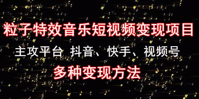 《粒子特效音乐短视频变现项目》主攻平台 抖音、快手、视频号 多种变现方法-杨振轩笔记