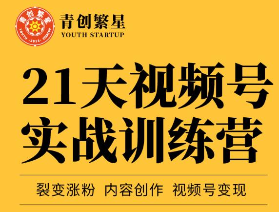 张萌21天视频号实战训练营，裂变涨粉、内容创作、视频号变现 价值298元-杨振轩笔记