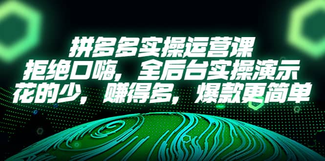 拼多多实操运营课：拒绝口嗨，全后台实操演示，花的少，赚得多，爆款更简单-杨振轩笔记