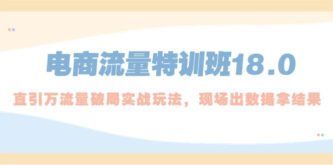 电商流量特训班18.0，直引万流量破局实操玩法，现场出数据拿结果-杨振轩笔记