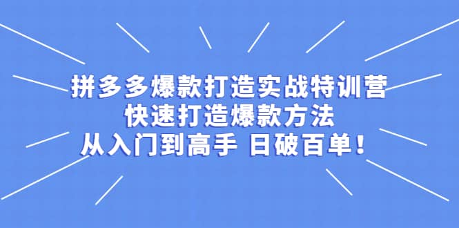 拼多多爆款打造实战特训营：快速打造爆款方法，从入门到高手 日破百单-杨振轩笔记