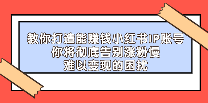 教你打造能赚钱小红书IP账号，了解透彻小红书的真正玩法-杨振轩笔记