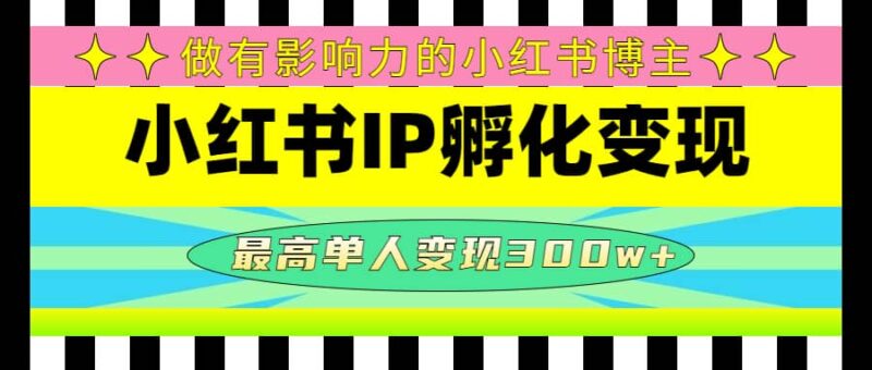 某收费培训-小红书IP孵化变现：做有影响力的小红书博主-杨振轩笔记