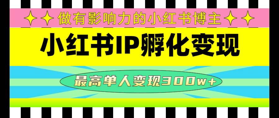 某收费培训-小红书IP孵化变现：做有影响力的小红书博主-杨振轩笔记