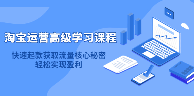 淘宝运营高级学习课程：快速获取流量核心秘密，轻松实现盈利！-杨振轩笔记