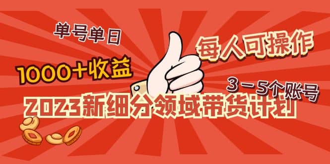 2023新细分领域带货计划：单号单日1000 收益不难，每人可操作3-5个账号-杨振轩笔记