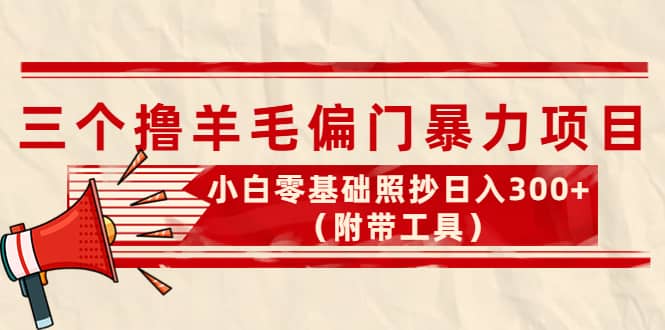 外面卖998的三个撸羊毛项目，小白零基础照抄（附带工具）-杨振轩笔记