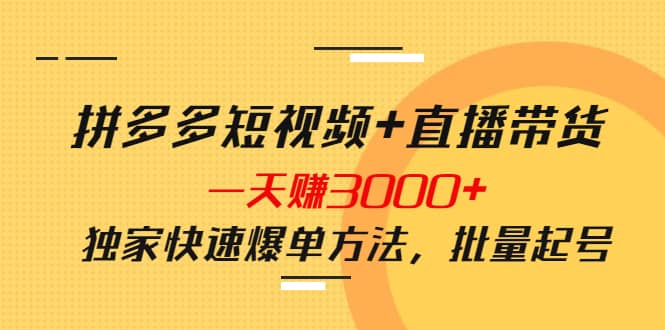 拼多多短视频 直播带货，一天赚3000 独家快速爆单方法，批量起号-杨振轩笔记