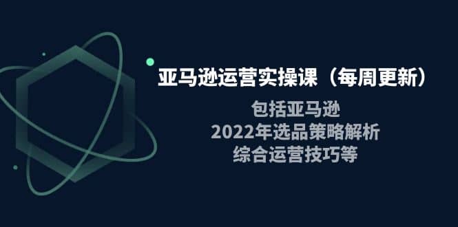 亚马逊运营实操课（每周更新）包括亚马逊2022选品策略解析，综合运营技巧等-杨振轩笔记