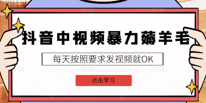 2022抖音中视频暴力薅羊毛白嫖项目：新号每天20块，老号几天几百块，可多号-杨振轩笔记