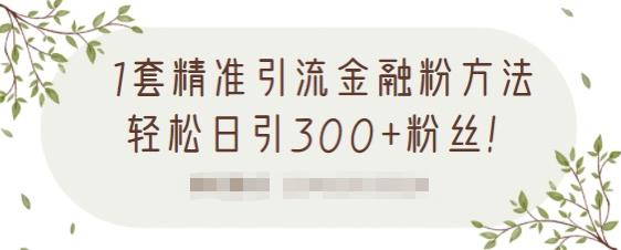 1套精准引流金融粉方法，轻松日引300 粉丝【视频课程】-杨振轩笔记