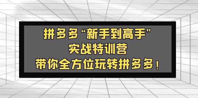 拼多多“新手到高手”实战特训营：带你全方位玩转拼多多-杨振轩笔记