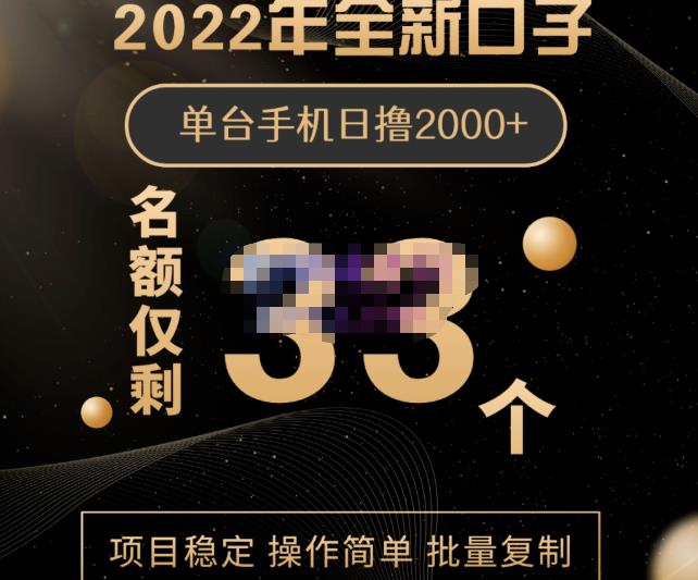 2022年全新口子，手机批量搬砖玩法，一部手机日撸2000-杨振轩笔记