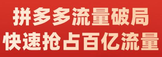 阿杰·拼多多流量破局:如何打黑标，爆款的思路，拼多多流量框架，快速抢占百亿流量-杨振轩笔记