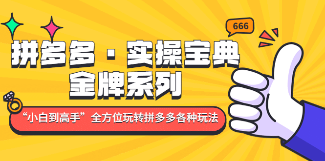 拼多多·实操宝典：金牌系列“小白到高手”带你全方位玩转拼多多各种玩法-杨振轩笔记