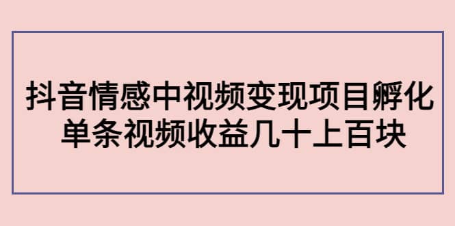 抖音情感中视频变现项目孵化-杨振轩笔记