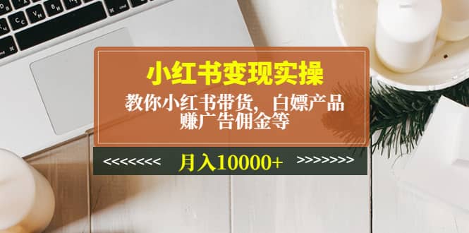 小红书变现实操：教你小红书带货，白嫖产品，赚广告佣金等-杨振轩笔记