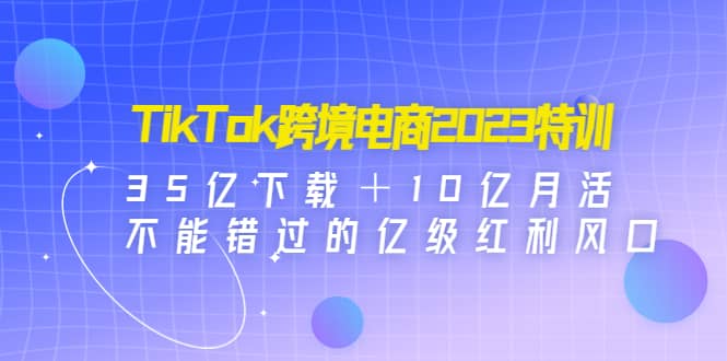 TikTok跨境电商2023特训：35亿下载＋10亿月活，不能错过的亿级红利风口-杨振轩笔记