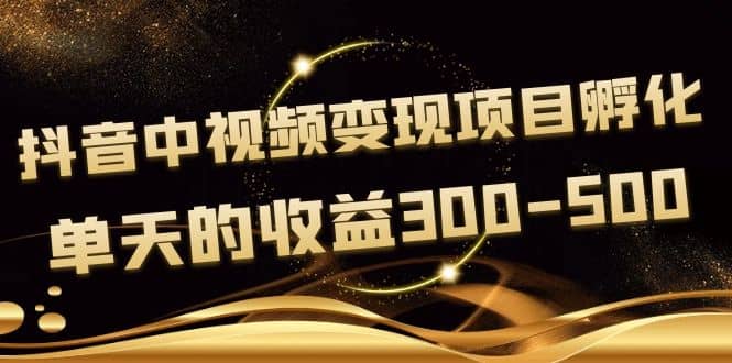 黄岛主《抖音中视频变现项目孵化》单天的收益300-500 操作简单粗暴-杨振轩笔记