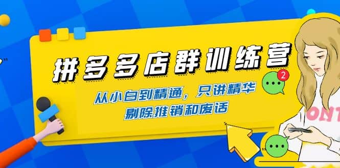 拼多多店群训练营：从小白到精通，只讲精华，剔除推销和废话-杨振轩笔记