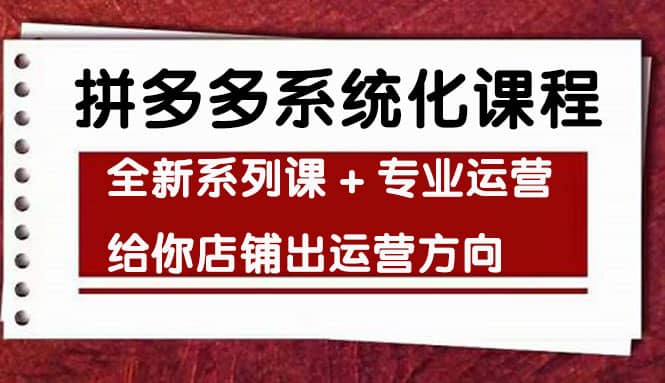 车神陪跑，拼多多系统化课程，全新系列课 专业运营给你店铺出运营方向-杨振轩笔记