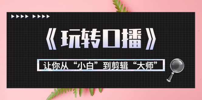 月营业额700万 大佬教您《玩转口播》让你从“小白”到剪辑“大师”-杨振轩笔记