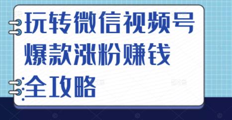 玩转微信视频号爆款涨粉赚钱全攻略，让你快速抓住流量风口，收获红利财富-杨振轩笔记