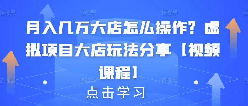 月入几万大店怎么操作？虚拟项目大店玩法分享【视频课程】-杨振轩笔记