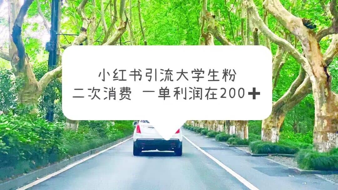 小红书引流大学生粉，变现项目，一单利润在200 （教程 资源）-杨振轩笔记