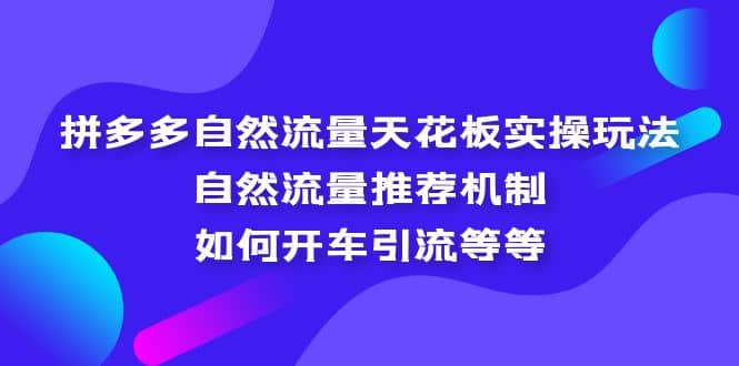 拼多多自然流量天花板实操玩法：自然流量推荐机制，如何开车引流等等-杨振轩笔记