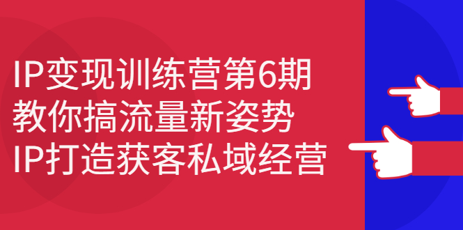 IP变现训练营第6期：教你搞流量新姿势，IP打造获客私域经营-杨振轩笔记