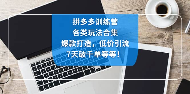 拼多多训练营：各玩法合集，爆款打造，低价引流，7天破千单等等-杨振轩笔记