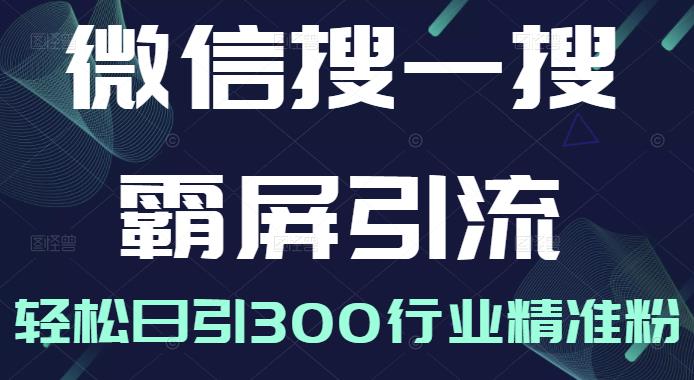 微信搜一搜霸屏引流课，打造被动精准引流系统，轻松日引300行业精准粉【无水印】-杨振轩笔记