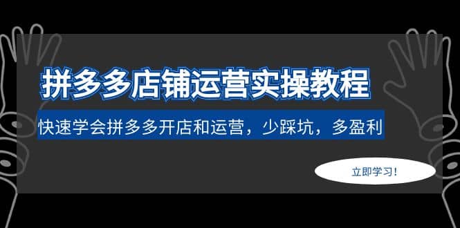 拼多多店铺运营实操教程：快速学会拼多多开店和运营，少踩坑，多盈利-杨振轩笔记